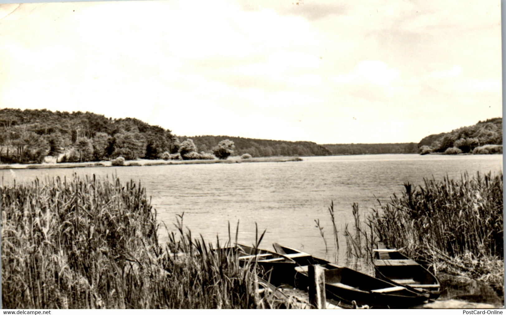 42824 - Deutschland - Ferchesarer See , Kr. Rathenow - Gelaufen - Rathenow