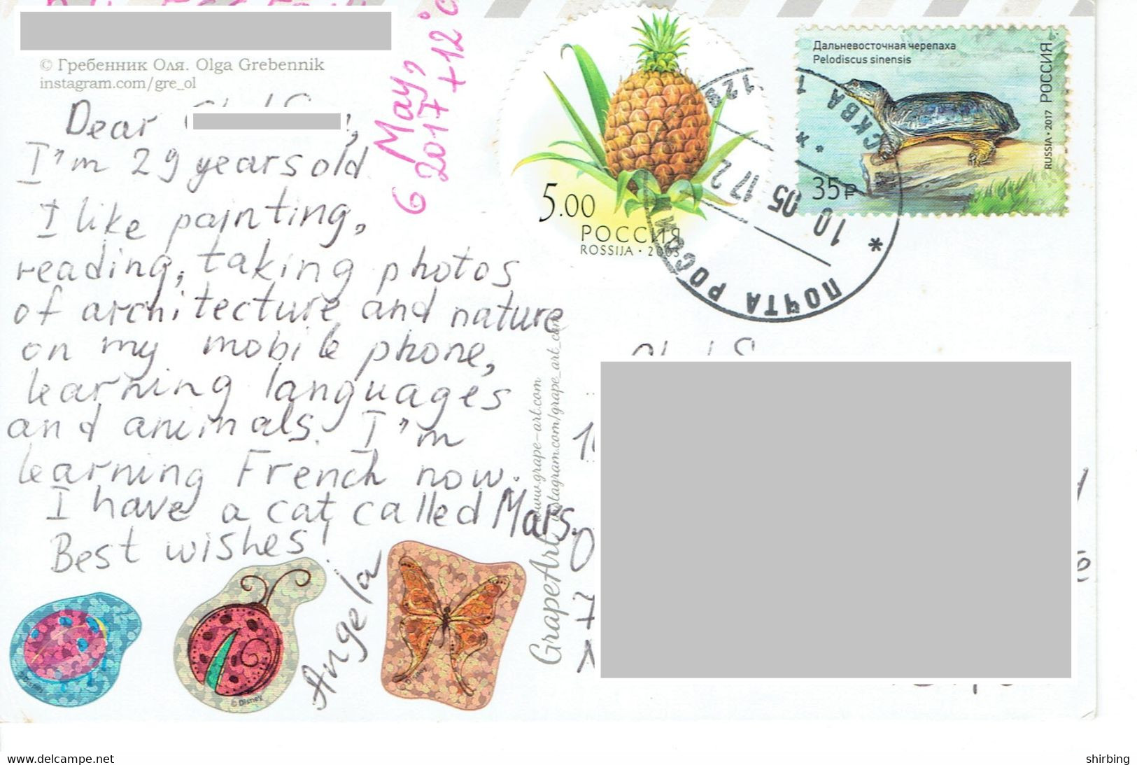 C3 : Russia - Fruit Pineapple Round Stamp / Tortoise Stamps Used On Postcard - Brieven En Documenten