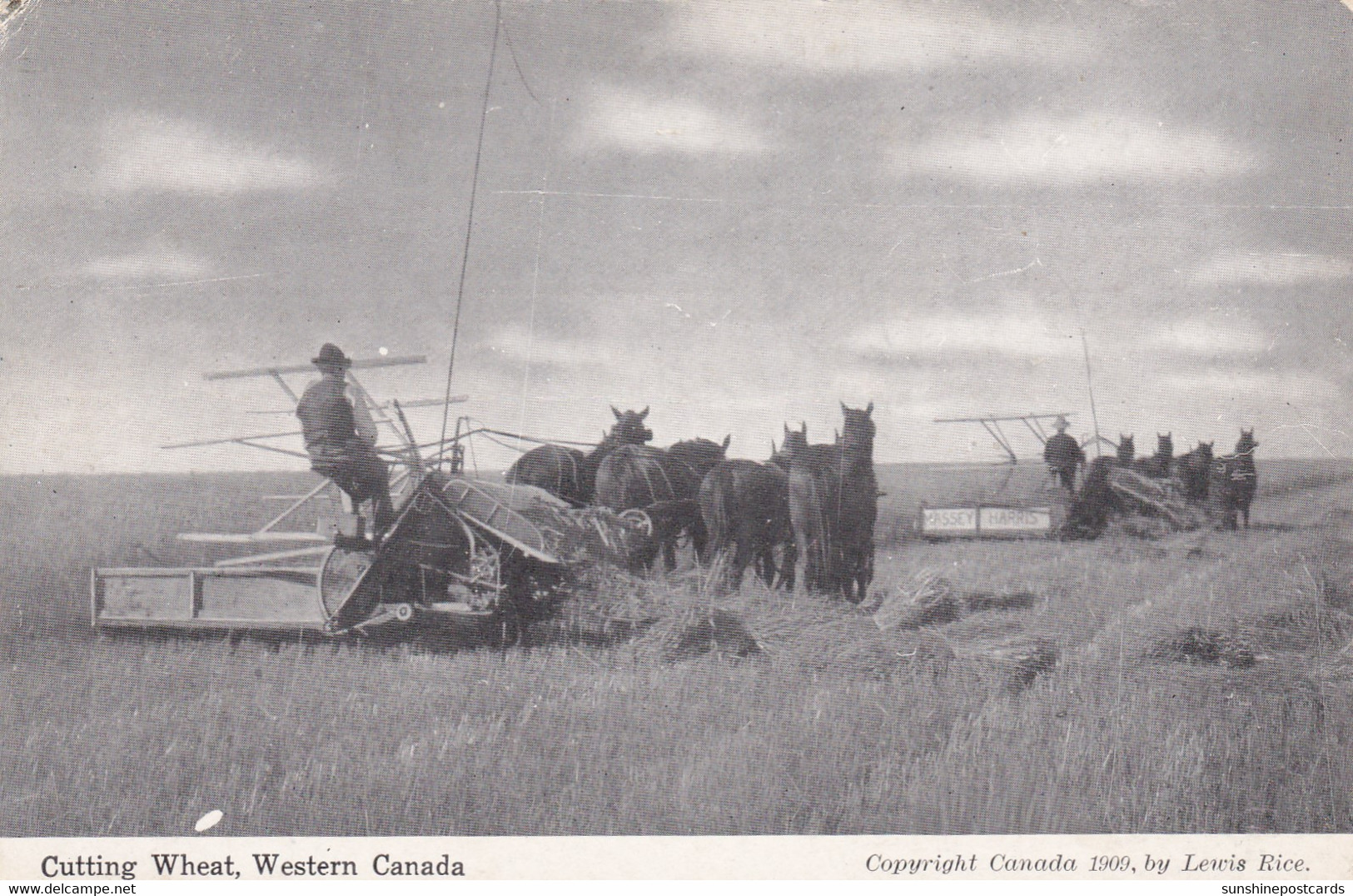 Canada Farming Scene Cutting Wheat In Western Canada - Other & Unclassified