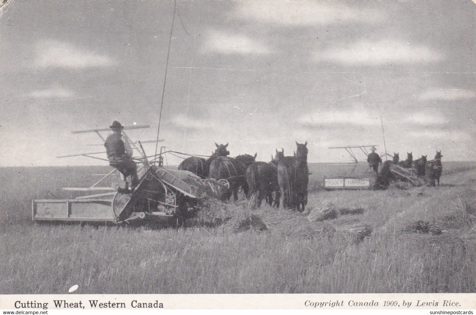 Canada Farming Scene Cutting Wheat In Western Canada - Sonstige & Ohne Zuordnung