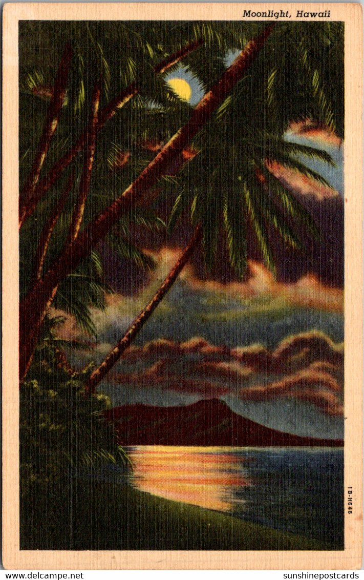 Hawaii Moonlight Scene Curteich - Oahu