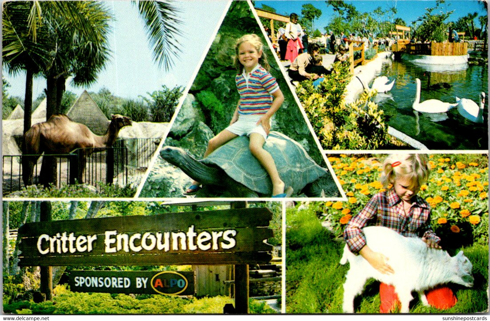 Florida Cyprus Gardens Critter Encounters - Other & Unclassified