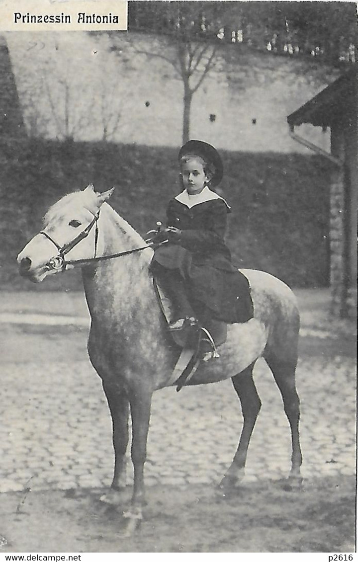 LUXEMBOURG -  1913 - PRINZESSIN ANTONIA -  VOIR LE VERSO -  CARTE EN L ETAT - Koninklijke Familie