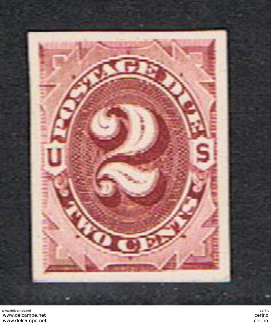 U.S.A.:  1887/98  POSTAGE  DUE  -  2 C. UNUSED  STAMP  -  PRINTED  ON  CARDBOARD  -  YV/TELL. (9) - Franqueo