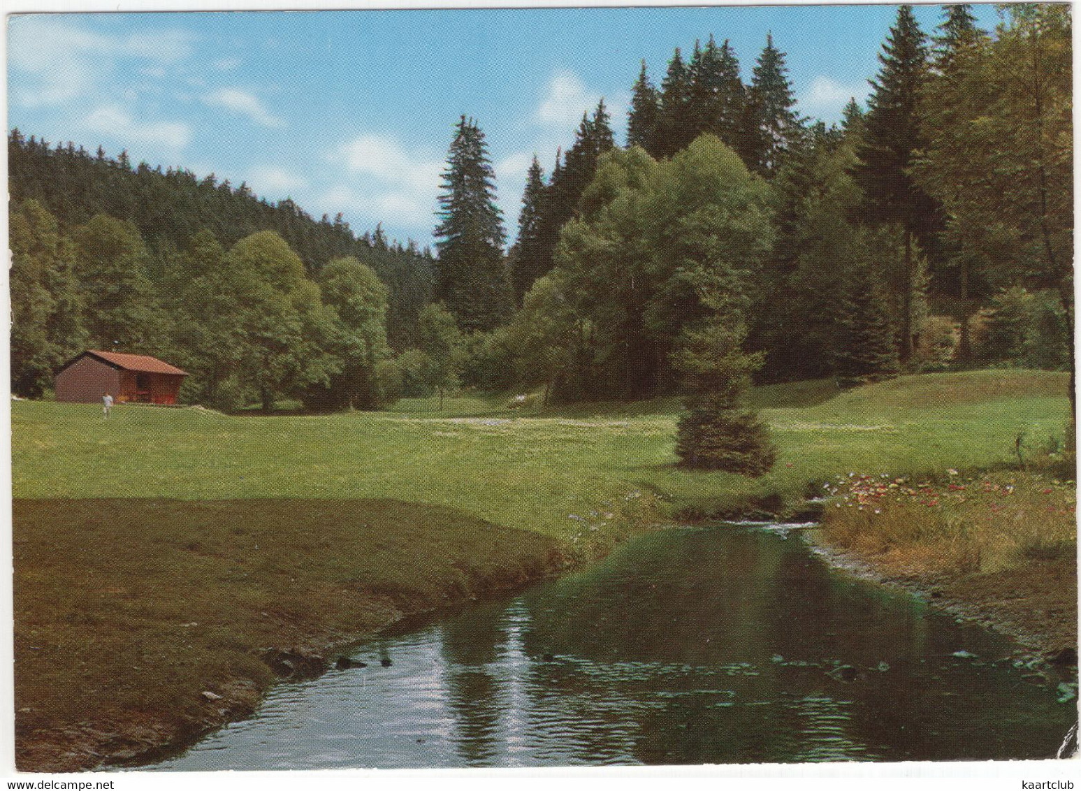 Partie Bei Der Bischofsmühle Im Frankenwald - (Deutschland) - Helmbrechts