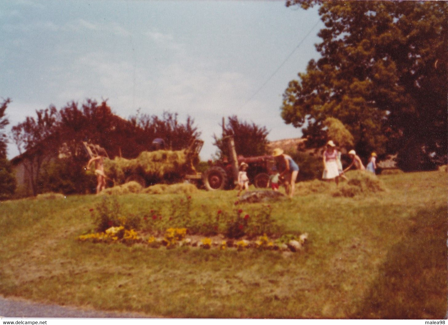 EN  POLOGNE , RAMASSAGE DU FOIN EN 1982 ,,,4 JOLIES PHOTOS 12 X 9  CM - Cultures