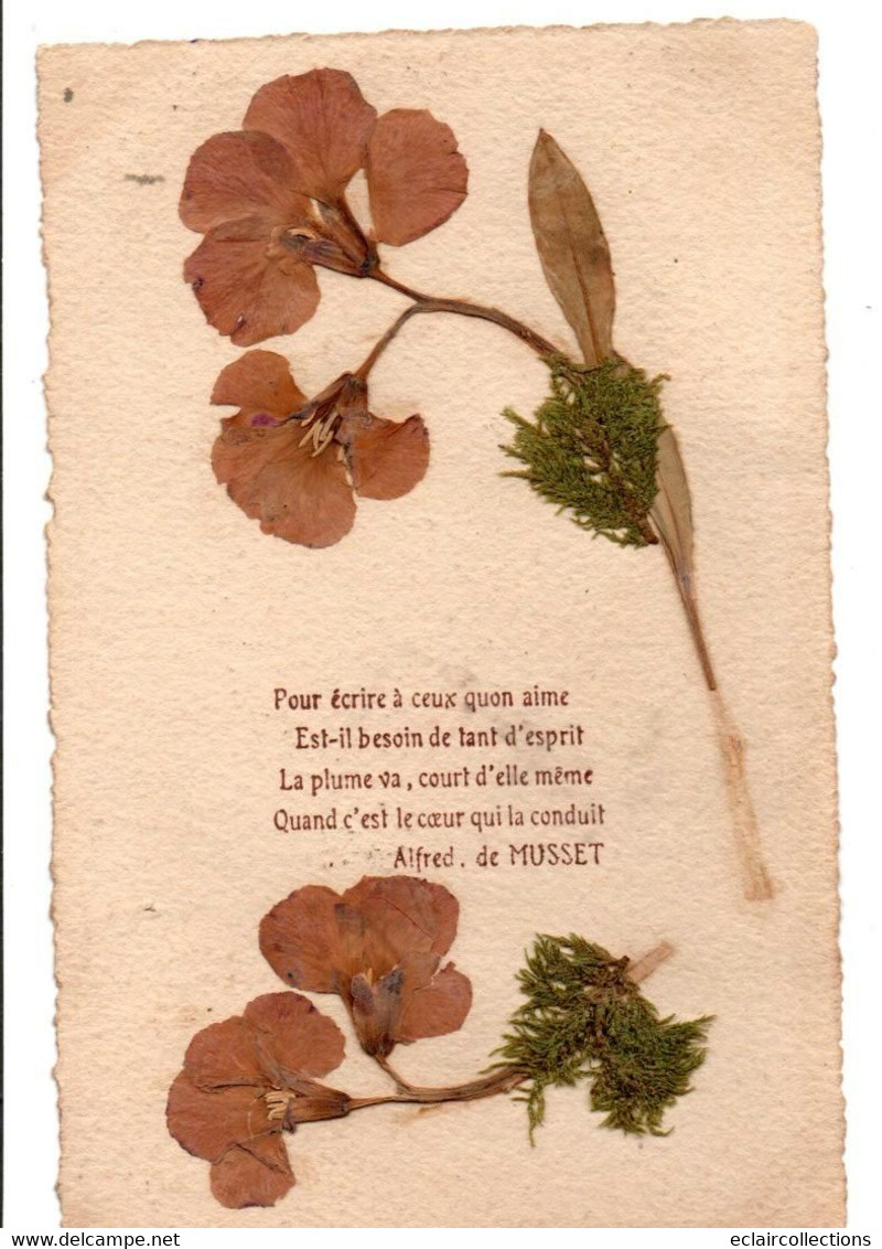 Thème. Fantaisie..   Fleurs Séchées . Poème Alfred De Musset   (voir Scan) - Andere & Zonder Classificatie