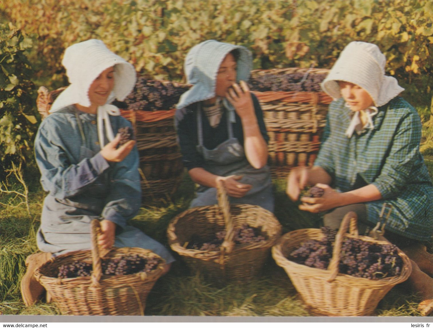 C.P. - .VENDANGES EN CHAMPEGNE - 217 - PETITE CURE UVALE - ADIA - REIMS CATHEDRALE - CHEVALLIER - Champagne-Ardenne