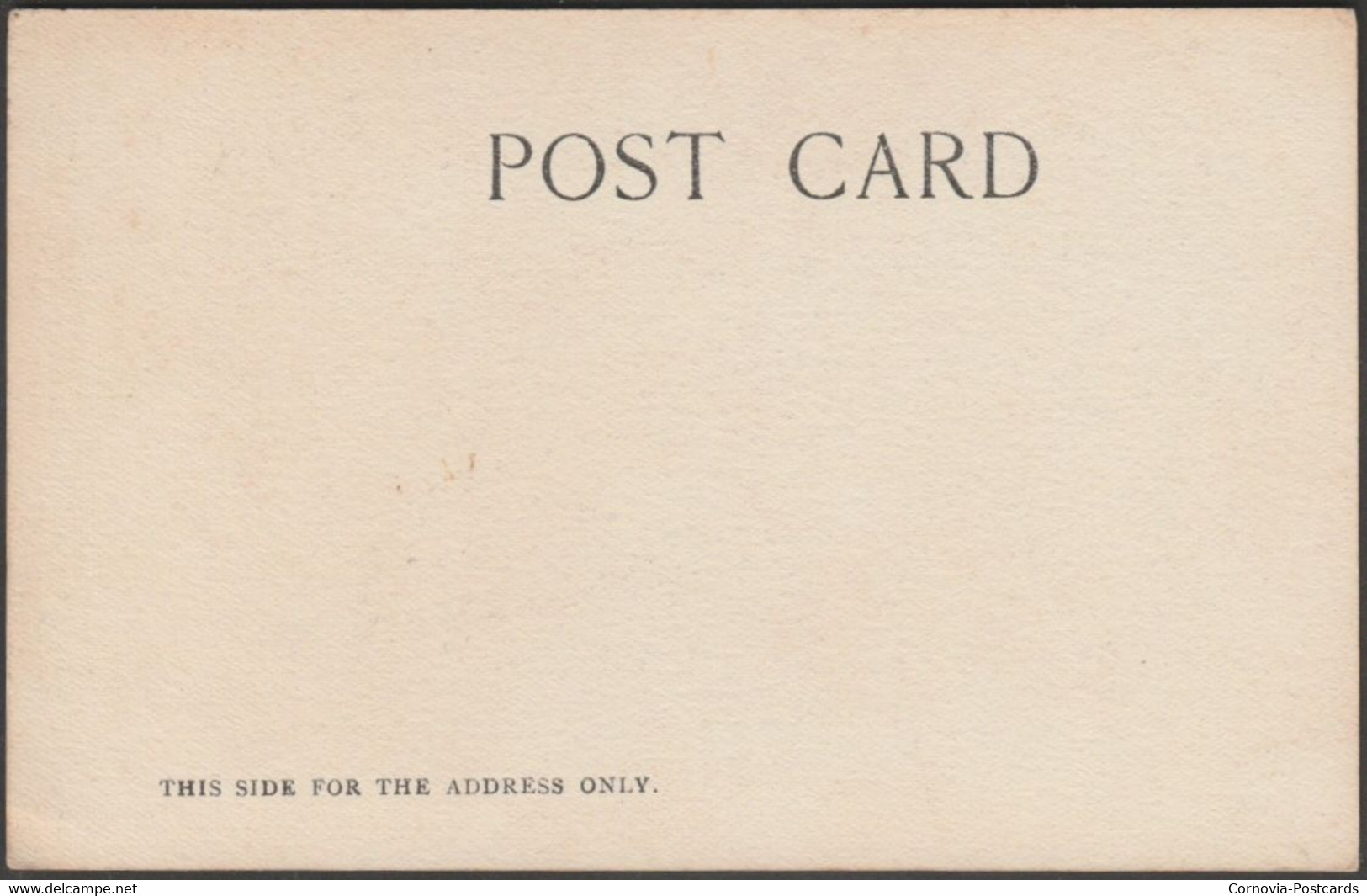 Alamo Plaza And Post Office, San Antonio, Texas, C.1904 - Nic Tengg Postcard - San Antonio
