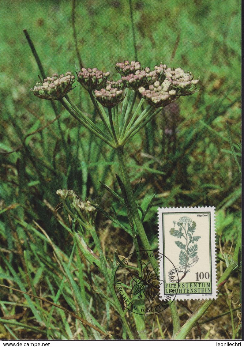 1993 Liechtenstein MC 119 Mi:LI 1071°, Yt:LI 1012°, Zum:LI 1013°, Hortus Botanicus, Hügel-Sesel, Seseli Annuum - Piante Medicinali