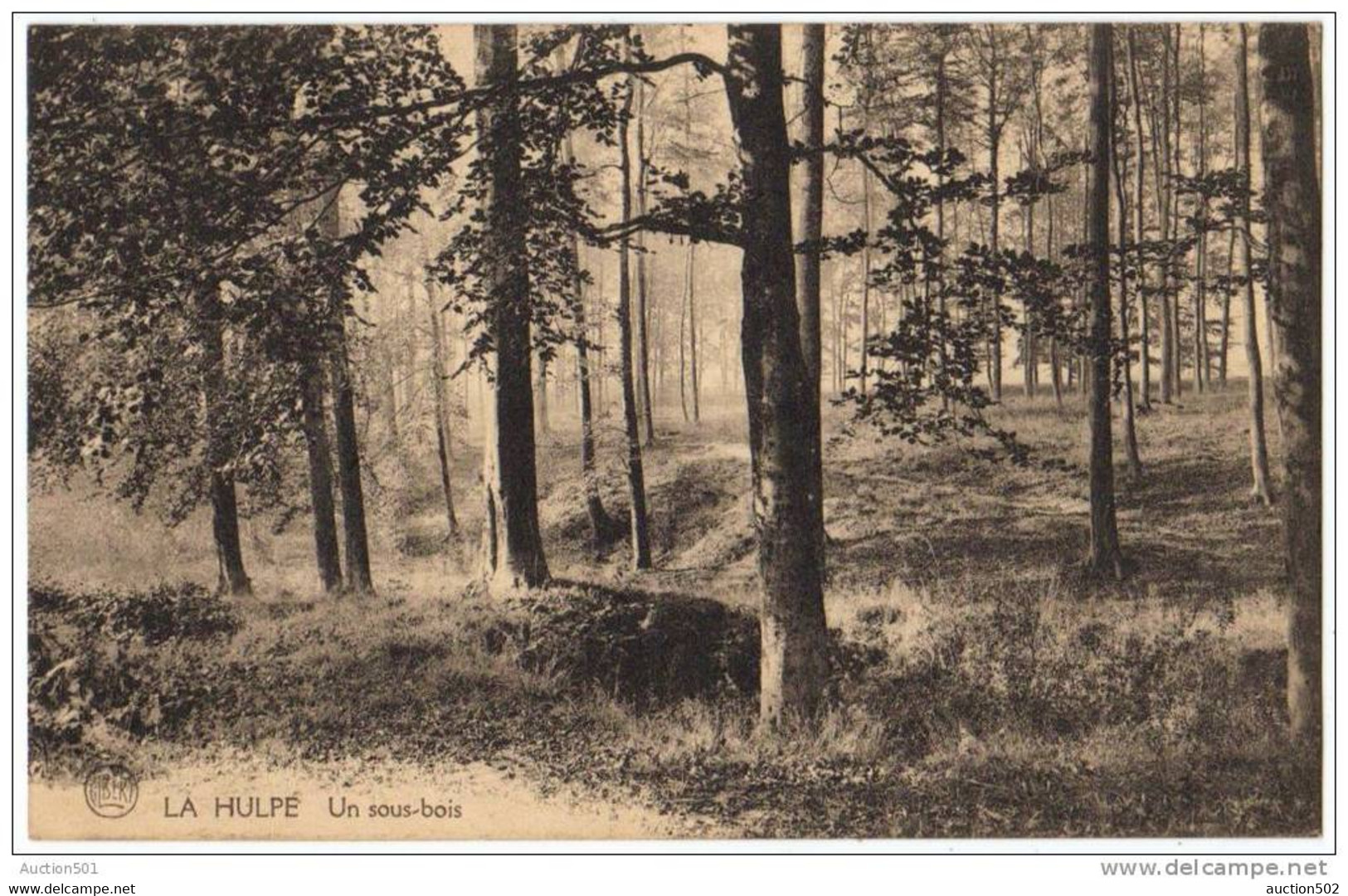 07883g SOUS - BOIS  - La Hulpe - La Hulpe