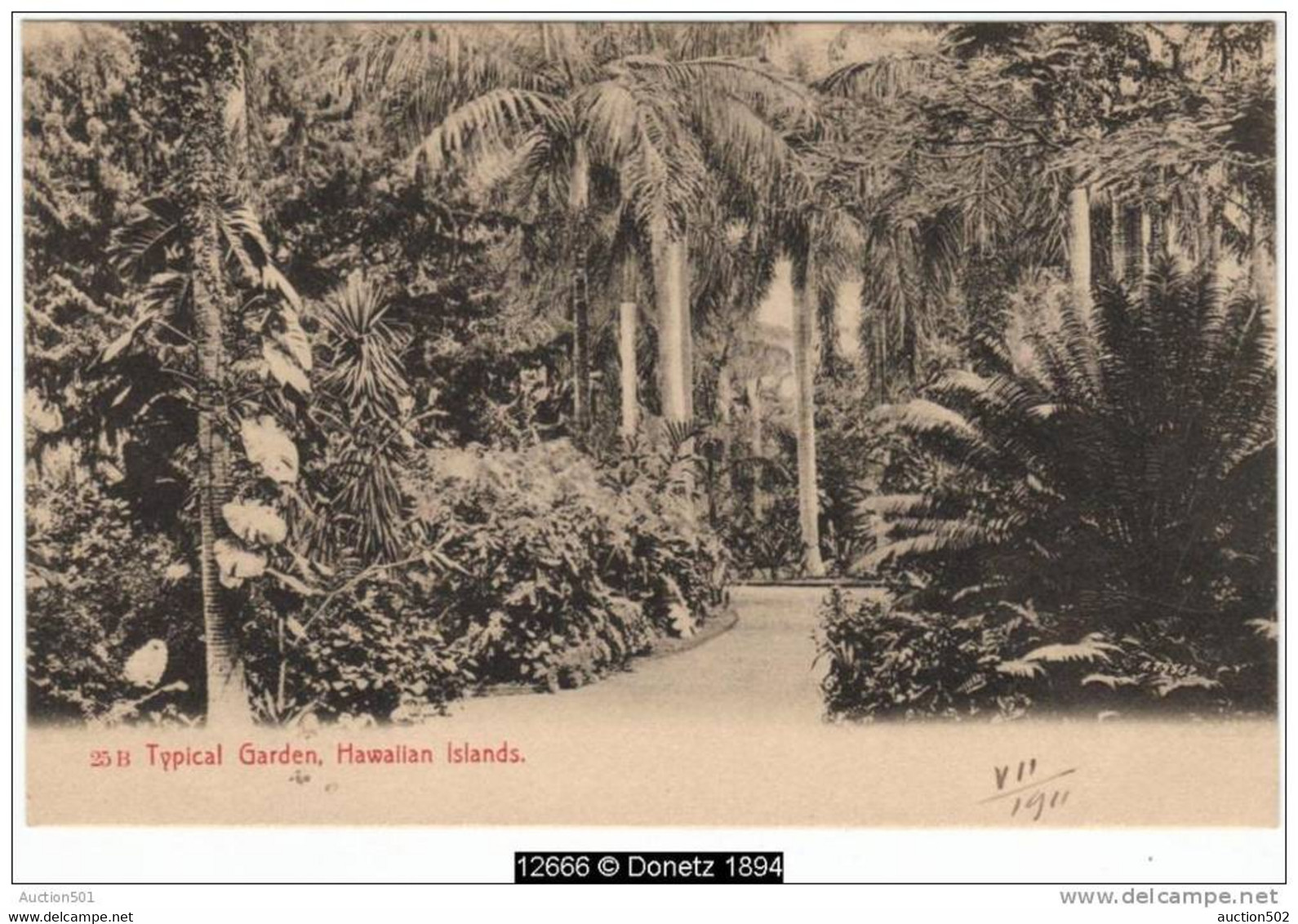 12666g HAWAII - Typical Garden - Hawaiian Islands - 1911 - Hawaï