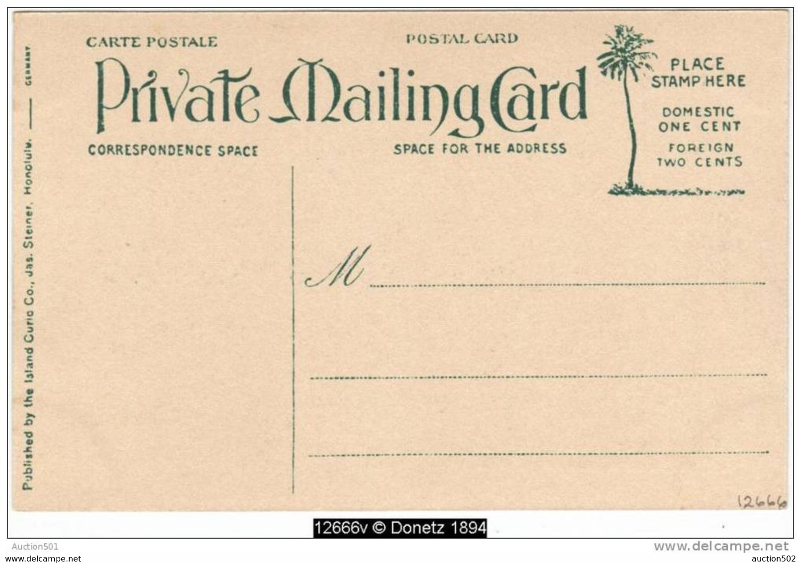 12666g HAWAII - Typical Garden - Hawaiian Islands - 1911 - Hawaï