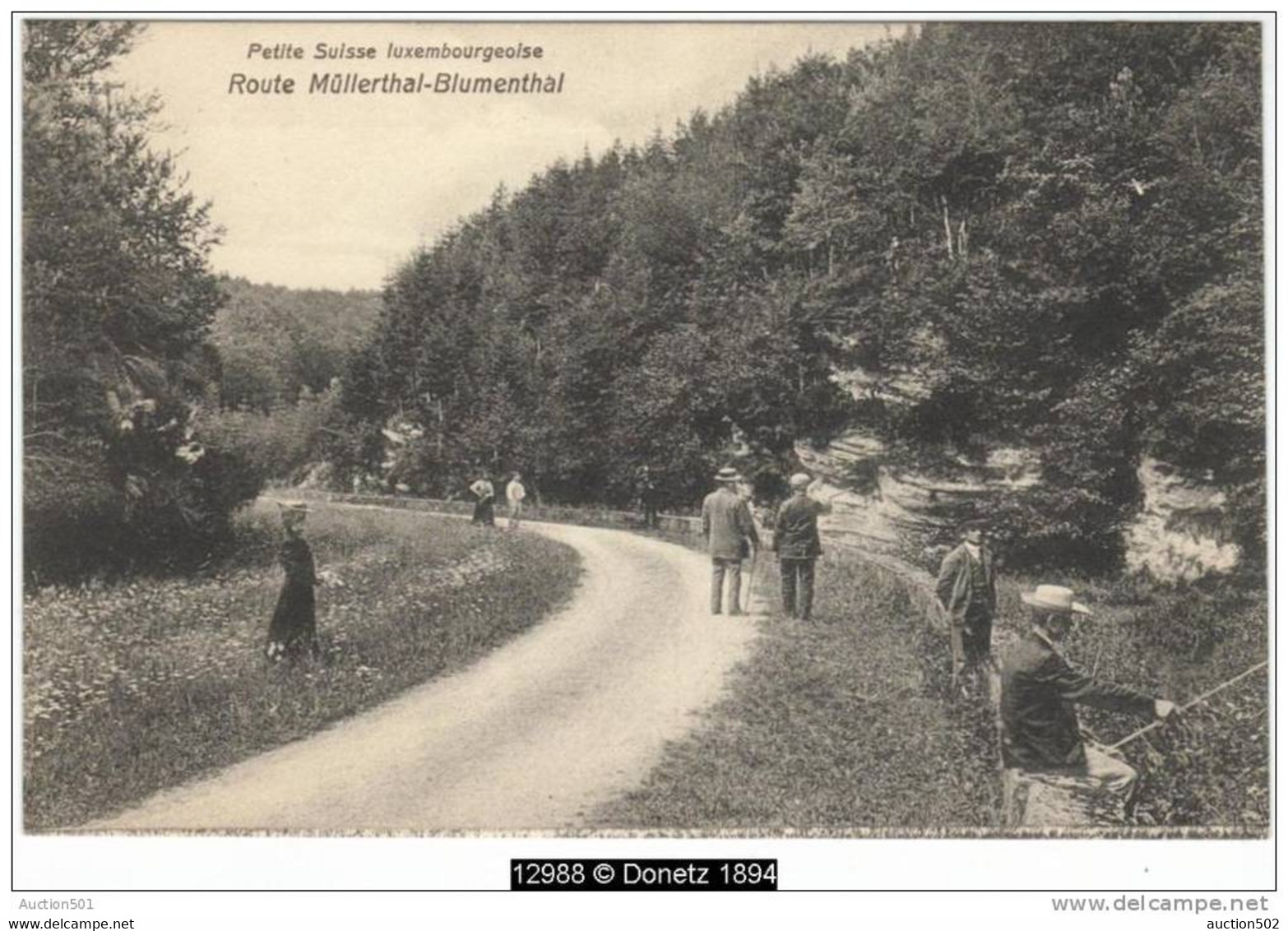 12988g PETITE SUISSE LUXEMBOURGEOISE- Route Müllerthal-Blumenthal - Muellerthal