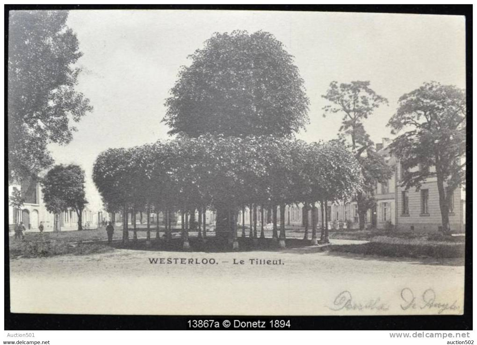 13867g Le TILLEUL - Westerloo - Westerlo