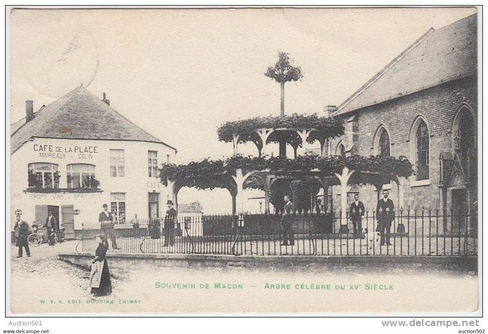 16998g CAFE De La PLACE - Mairieaux - Colin - Arbre Du XVe Siècle - Macon - 1909 - Momignies