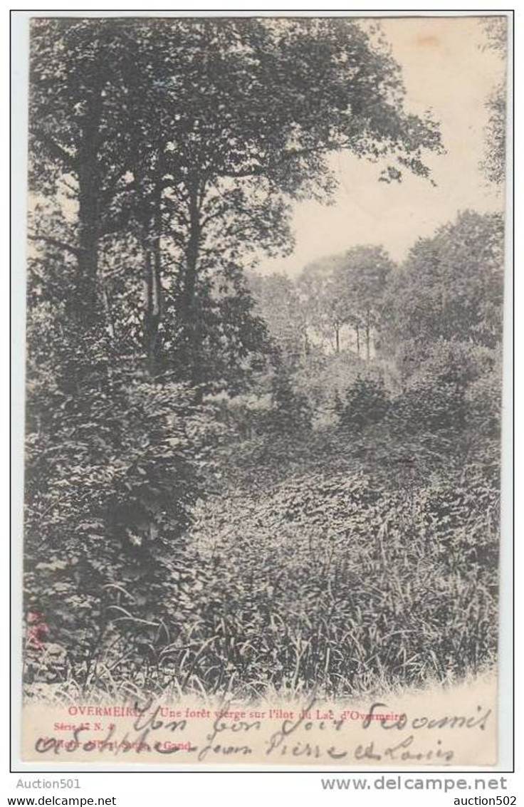 17296g FORET - LAC - Overmeire - 1910 - Berlare