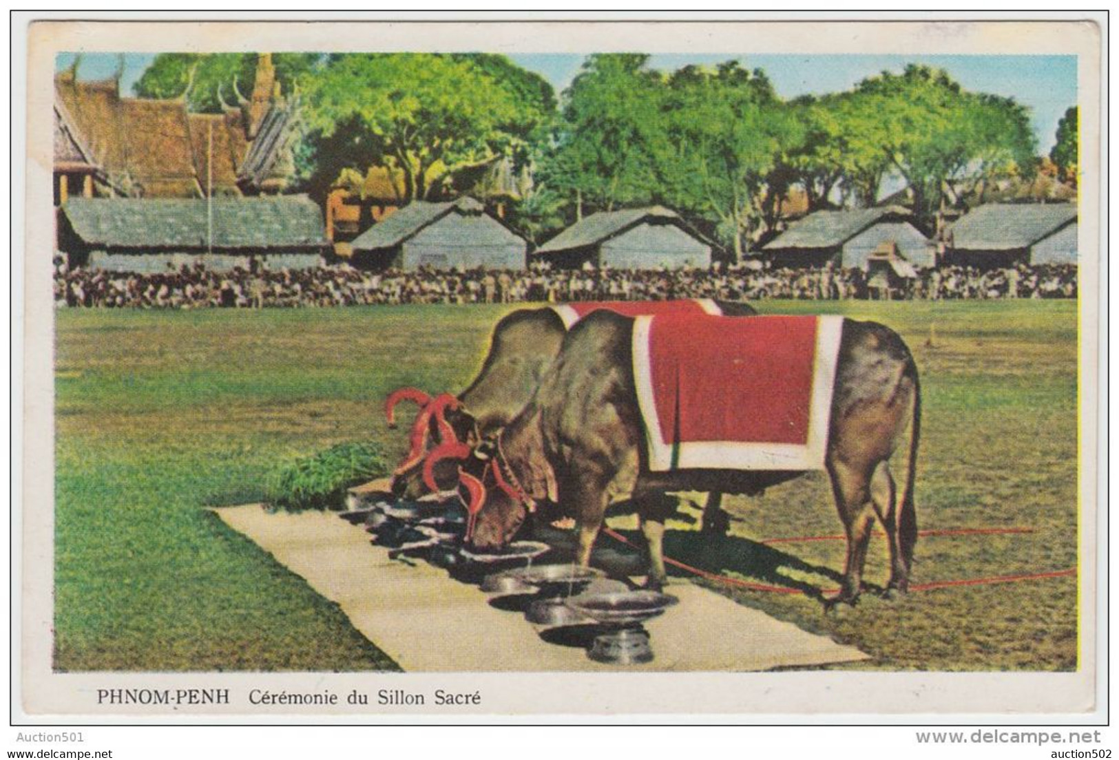 19367g PHNOM-PENH - Cérémonie Du Sillon Sacré - Cambodge