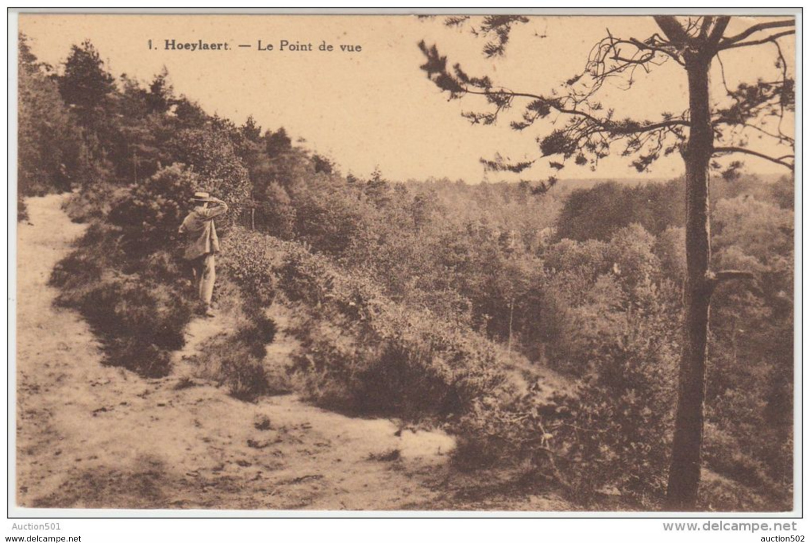 19867g Le POINT De VUE De La SAPINIERE - Groenendal - Hoeilaart