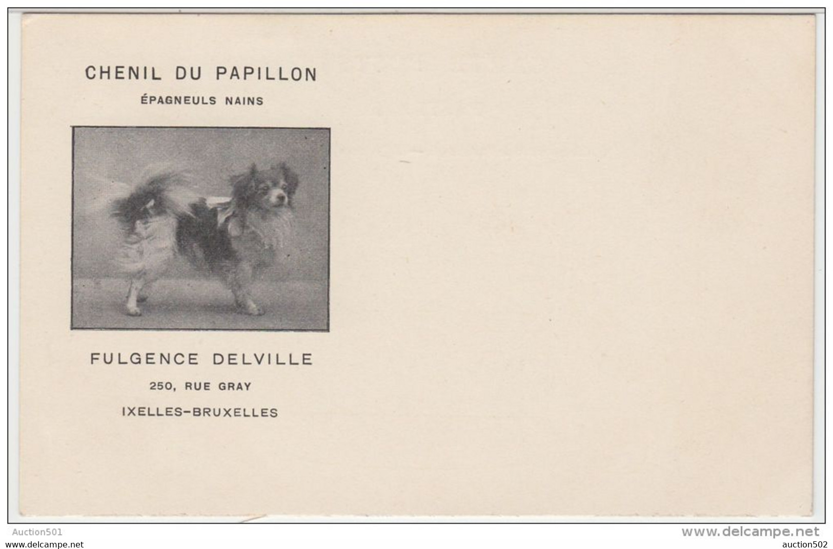 21892g CHENIL Du PAPILLON - EPAGNEULS NAINS - FULGENCE DELVILLE - 250 Rue Gray - Ixelles - Carte Publicitaire - Ixelles - Elsene