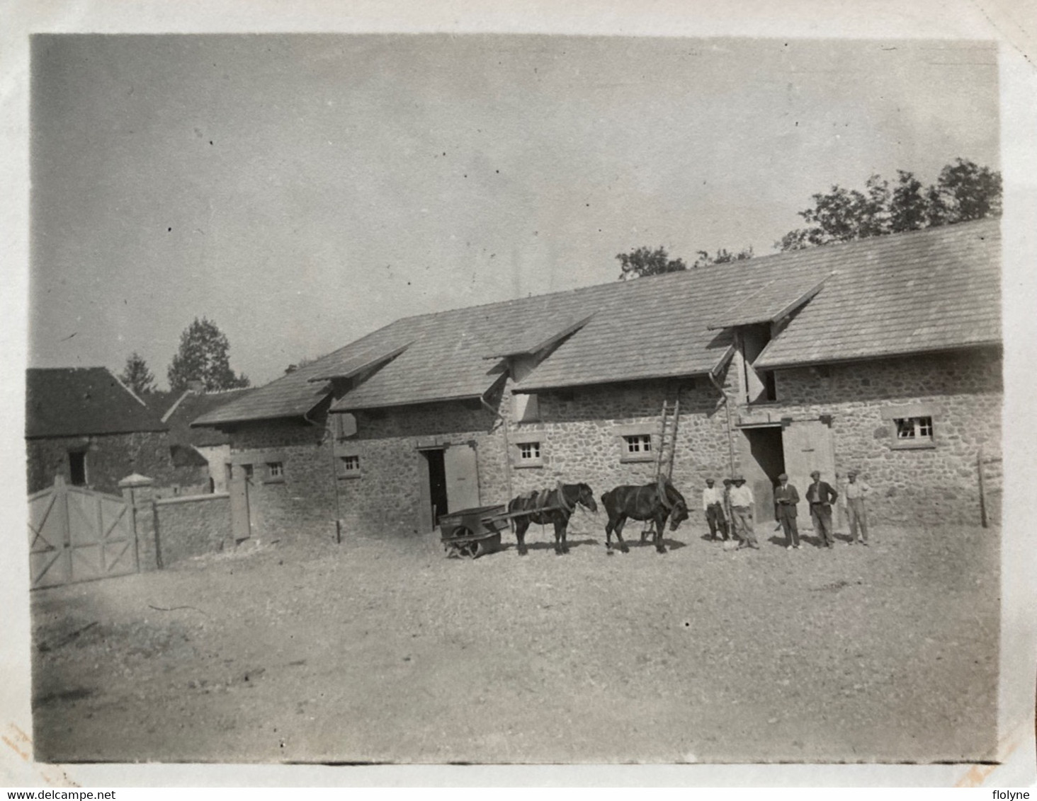 Agriculture - Photo Ancienne - Un Intérieur De Ferme , à Localiser - Attelage Chevaux - Fattorie