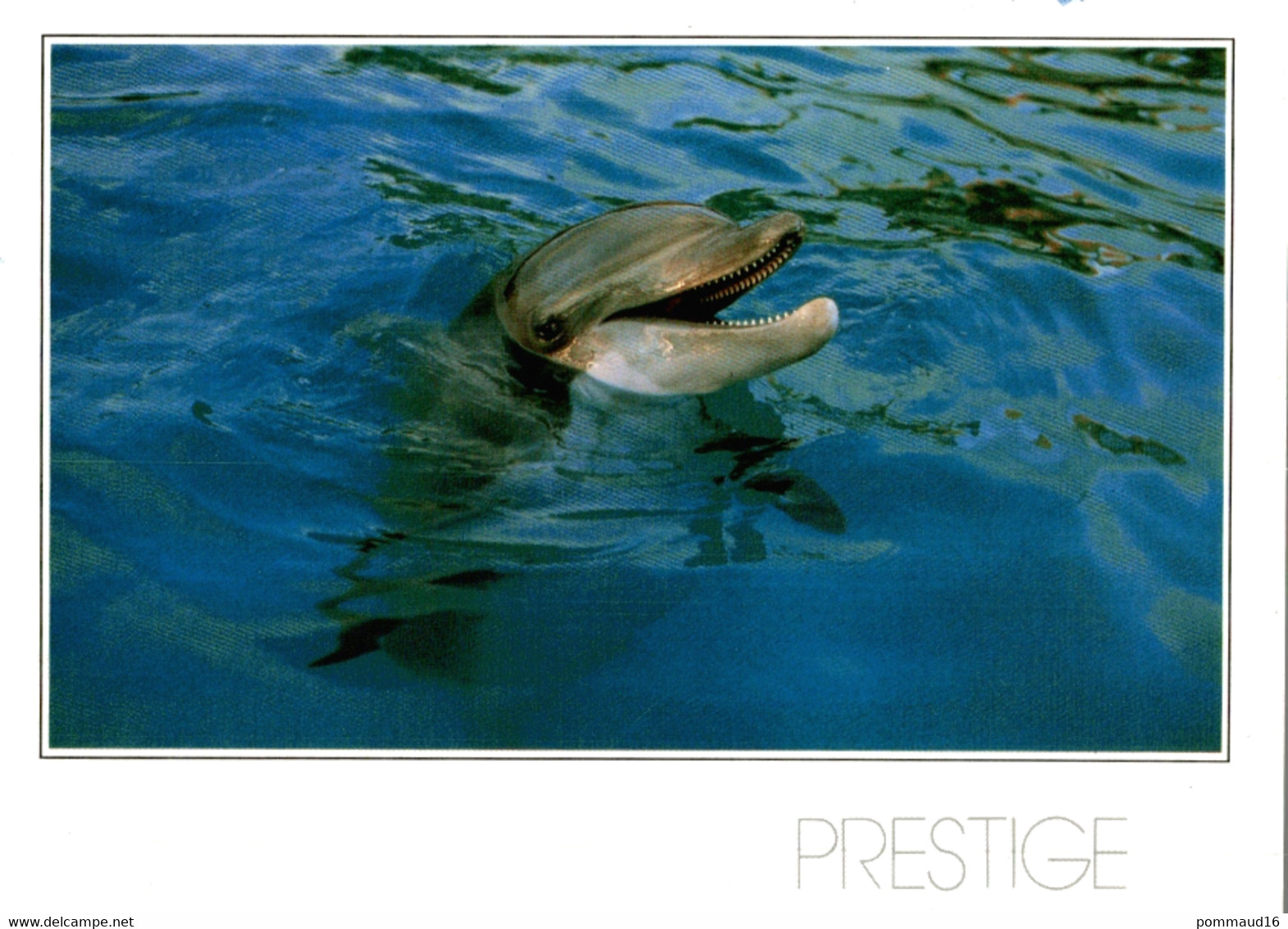 CPM Dauphin - Collection Prestige - Dauphins