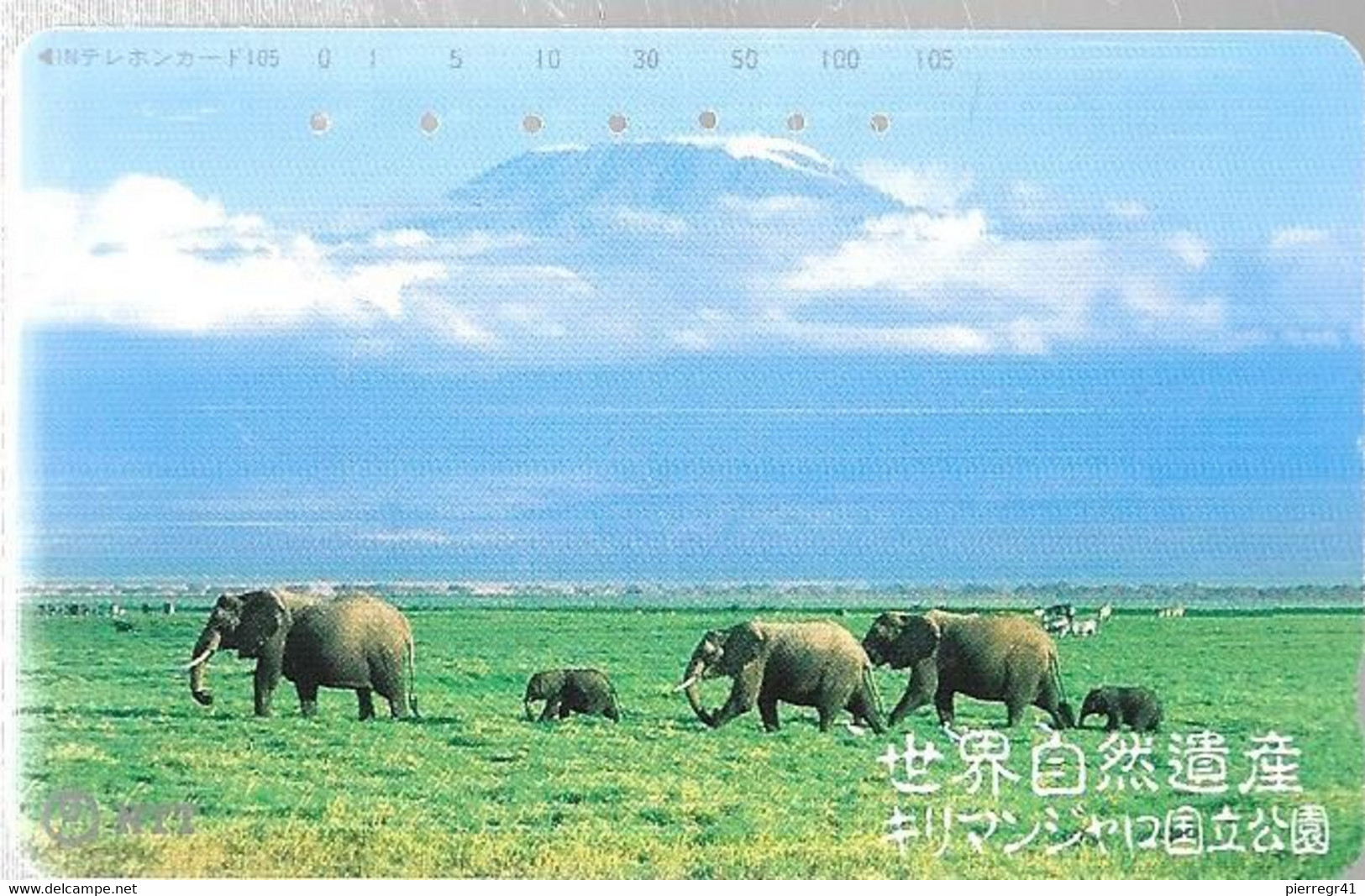 TC-MAGN-JAPON-1989-TROUPEAU ELEPHANTS-au Fond Le KILIMANDJARO-TBE - Selva