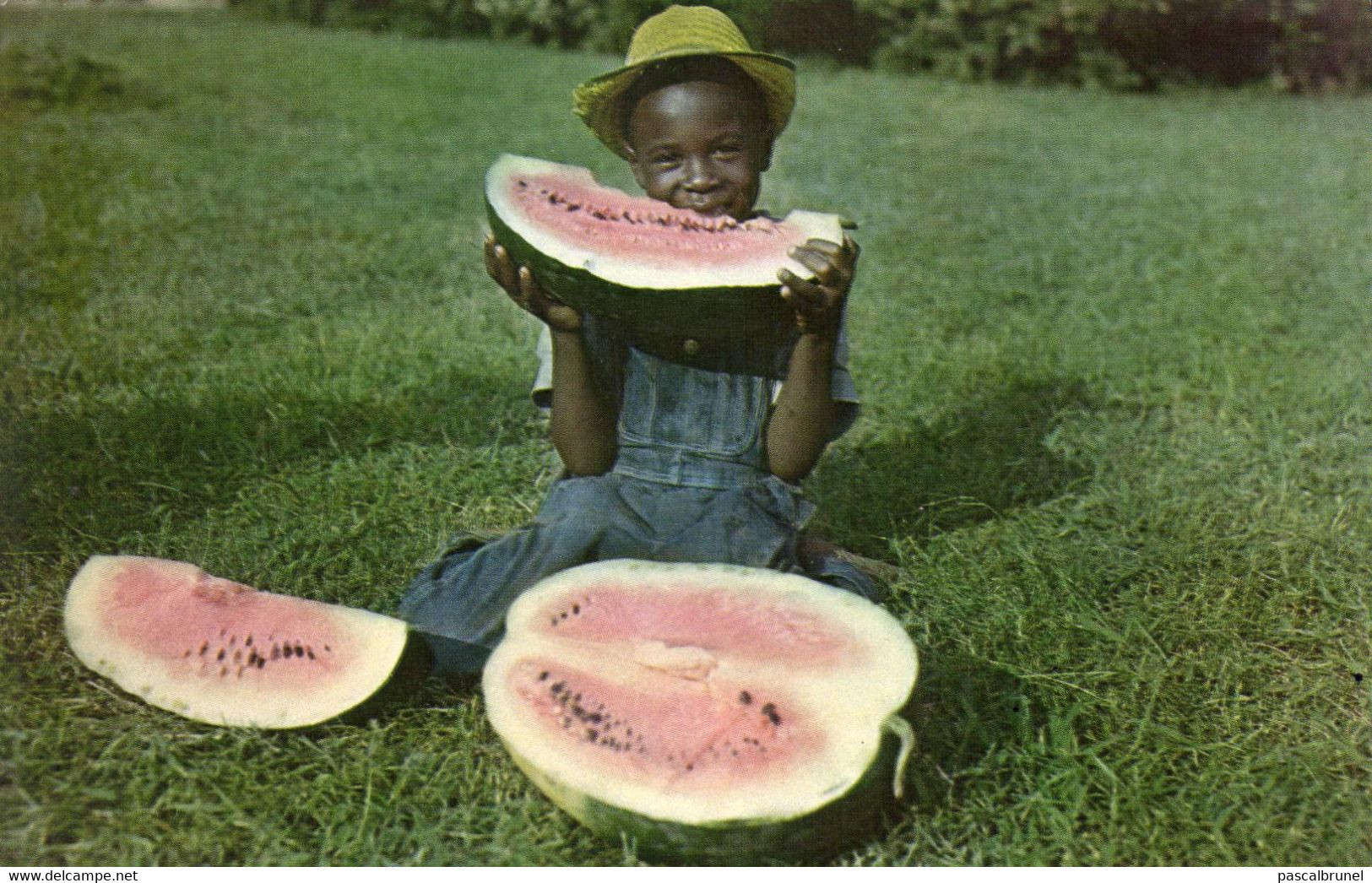 TAMPA - WATERMELON TIME DOWN SOUTH - Tampa