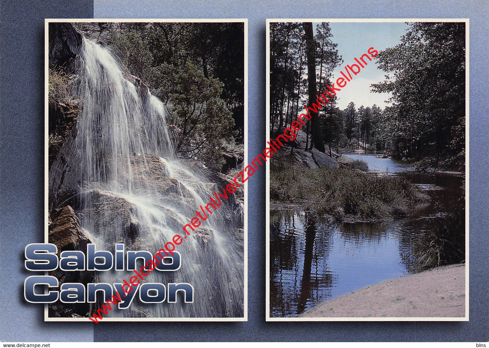 Tucson - Sabino Canyon - Arizona - United States USA - Tucson