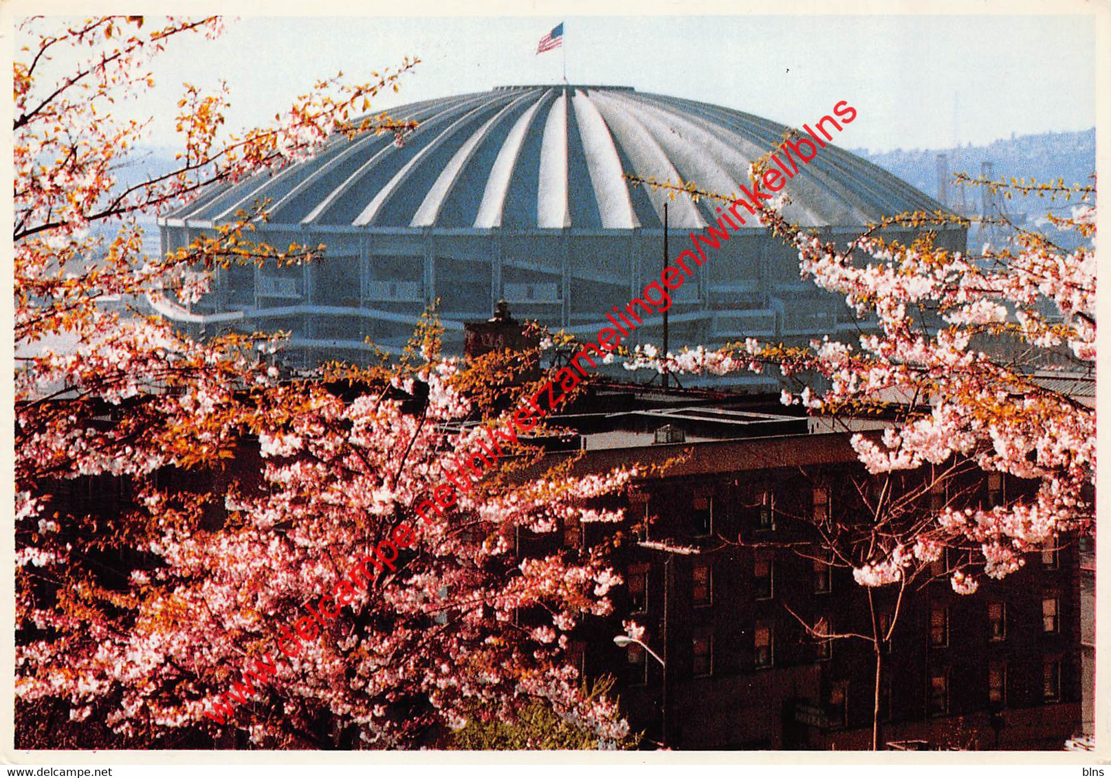 Seattle - The Kingdome Stadium - Baseball - Washington - United States USA - Seattle