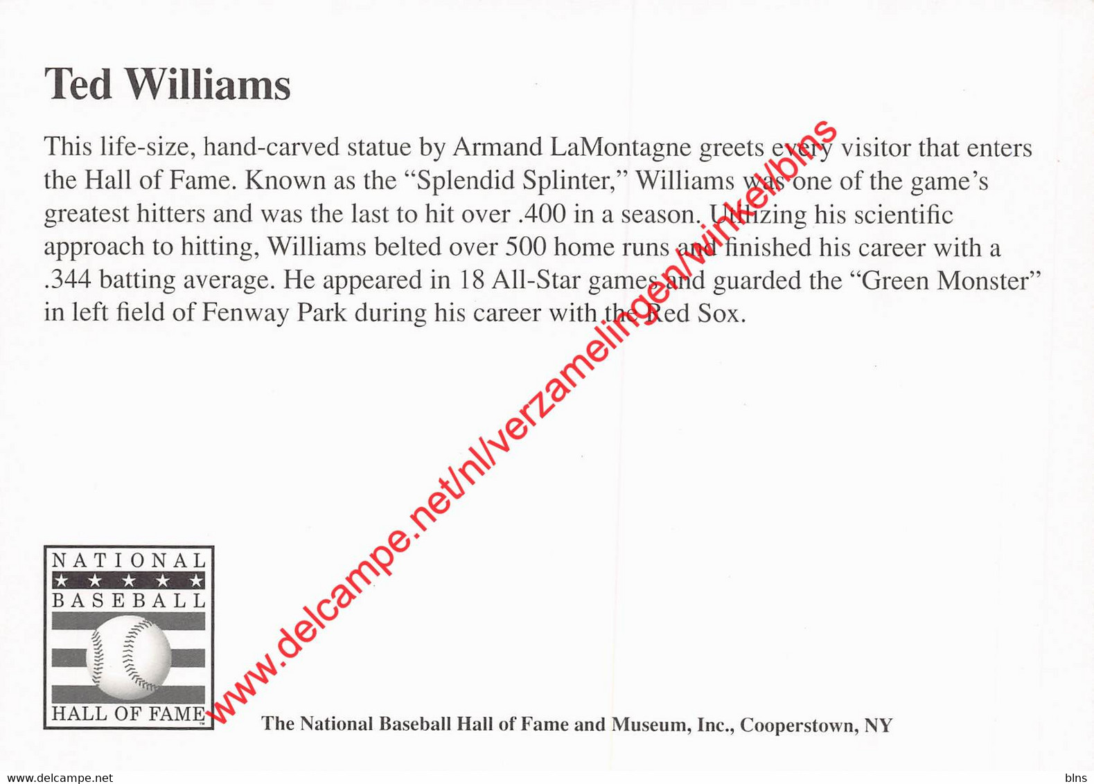 Ted Williams - The National Baseball Hall Of Fame And Museum - Cooperstown New York - Baseball