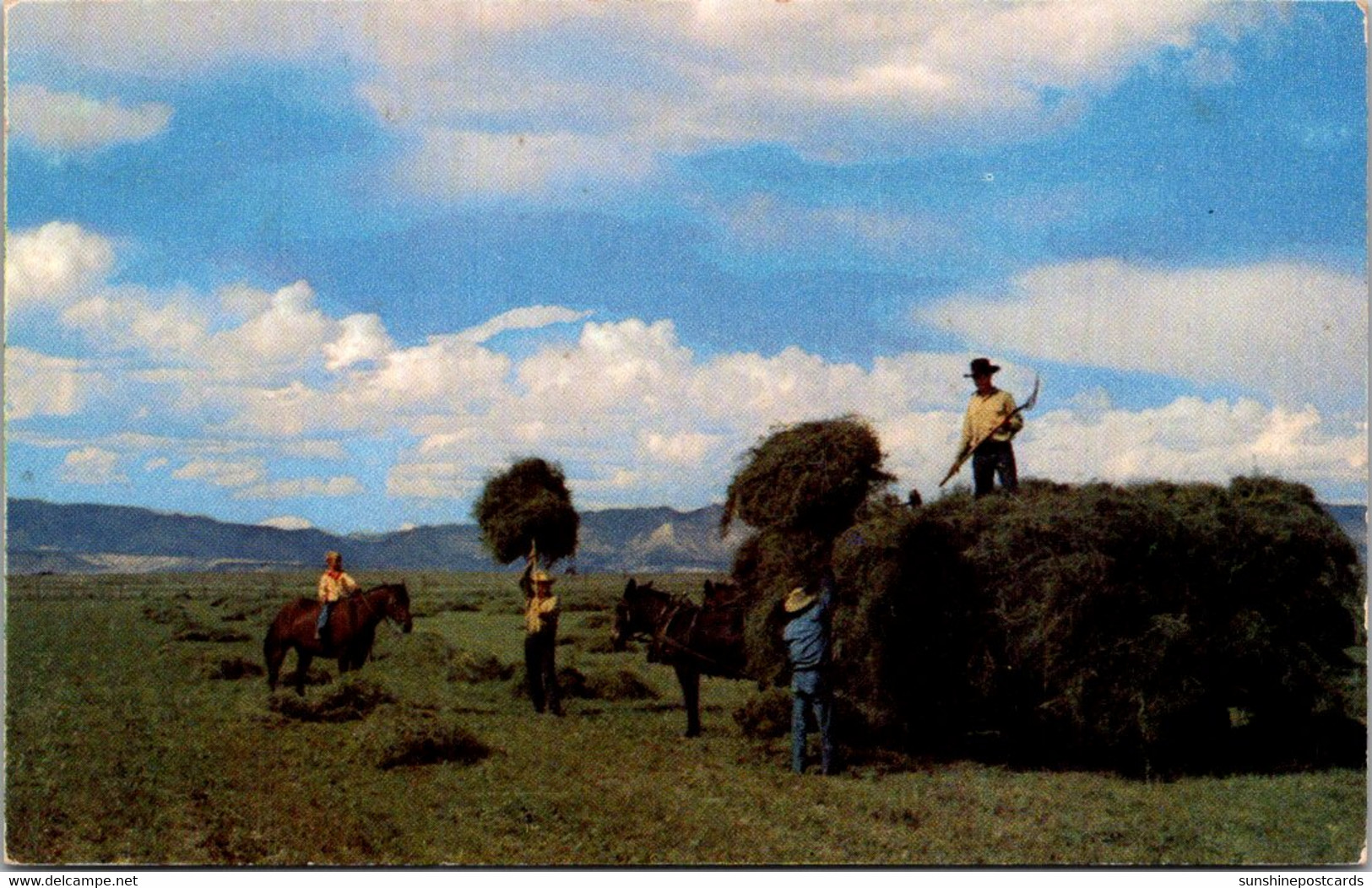 Farm Scene Hay Making Time - Cultures