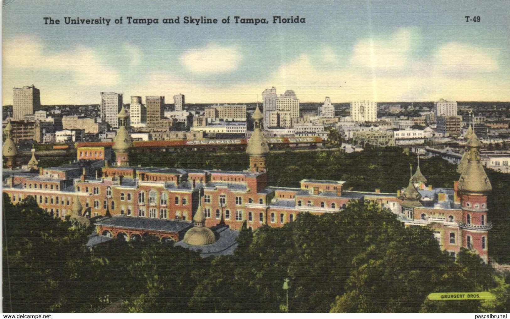 TAMPA - THE UNIVERSITY OF TAMPA AND SKYLINE - Tampa