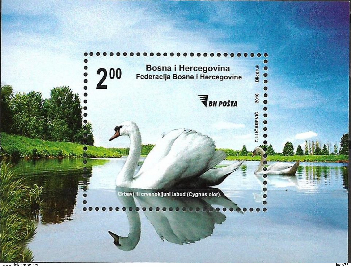 BOSNIE BOSNIA BOSNIEN BIRDS Cygne Swan Schwan  2010 Bloc/sheetlet/Block Neuf/mint/ungestemp. - Schwäne