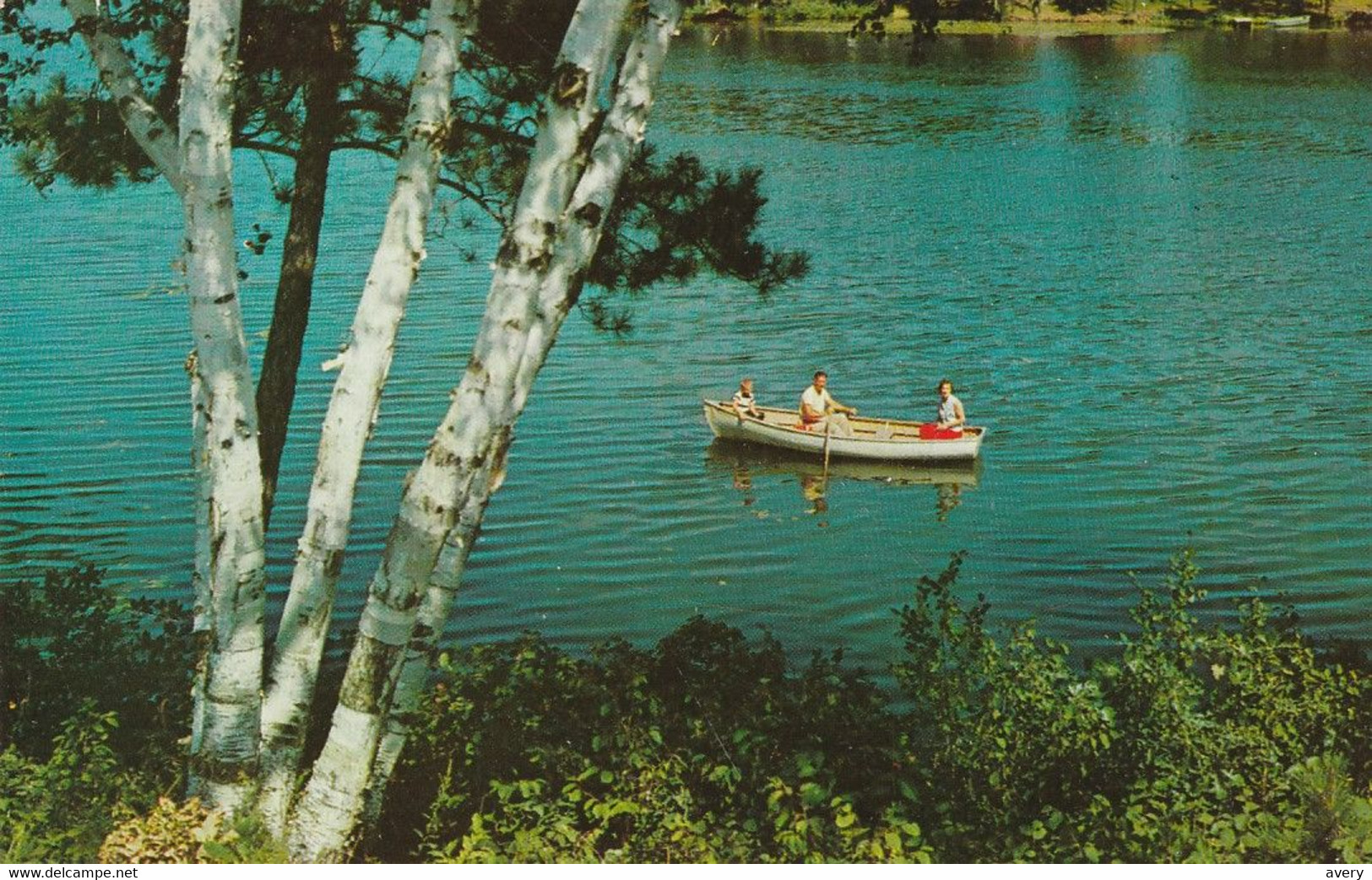 A Rowboat Centering A Peaceful Lake Scene - Aviron