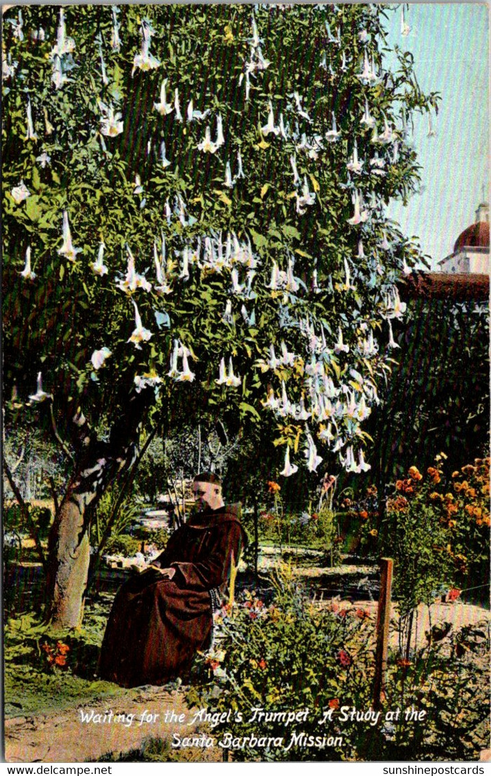 California Santa Barbara Mission Waiting For The Angel's Trumpet - Santa Barbara