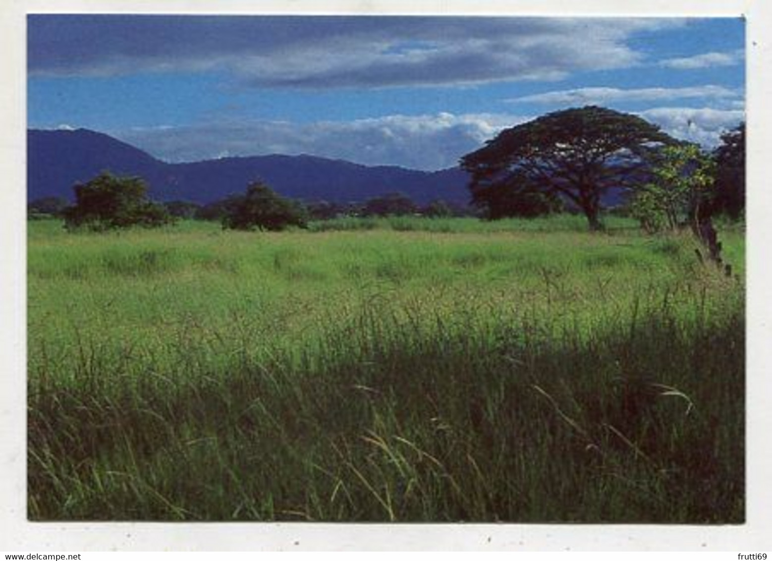 AK 111960 COSTA RICA - Pasture Land During The Rainy Season - Costa Rica