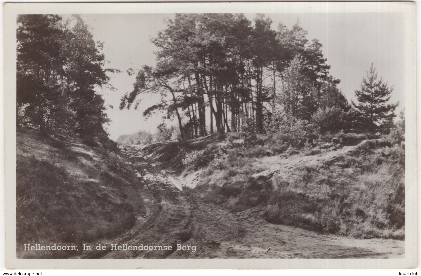 Hellendoorn. In De Hellendoornse Berg  - (Overijssel, Nederland/Holland) - 1952 - (Uitg.: J.Lemmers, Sigarenmagazijn) - Hellendoorn