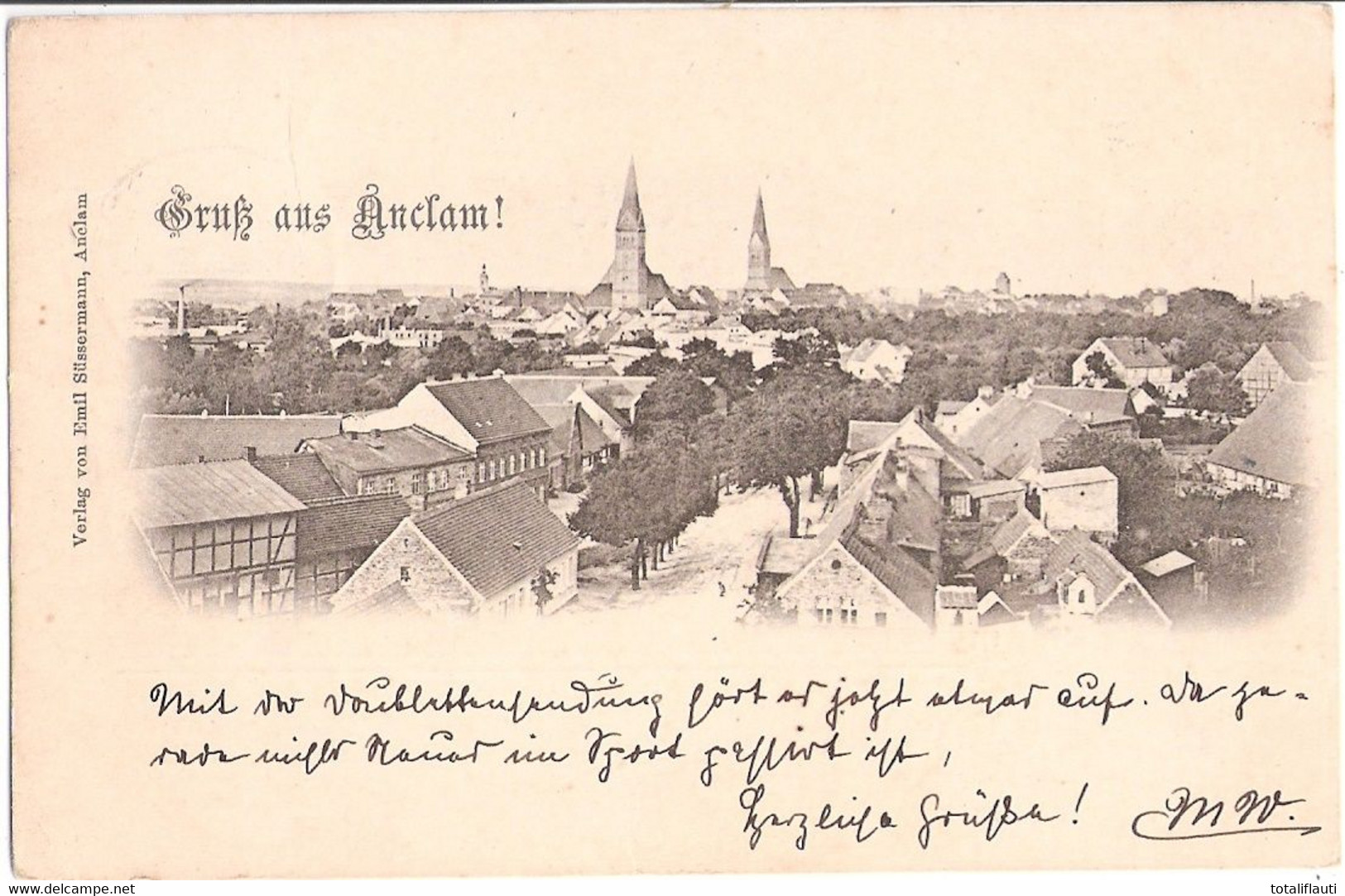 Gruß Aus ANKLAM Vorpommern Panorama Ansicht Aus Der Vogelschau 28.6.1898 Gelaufen - Anklam