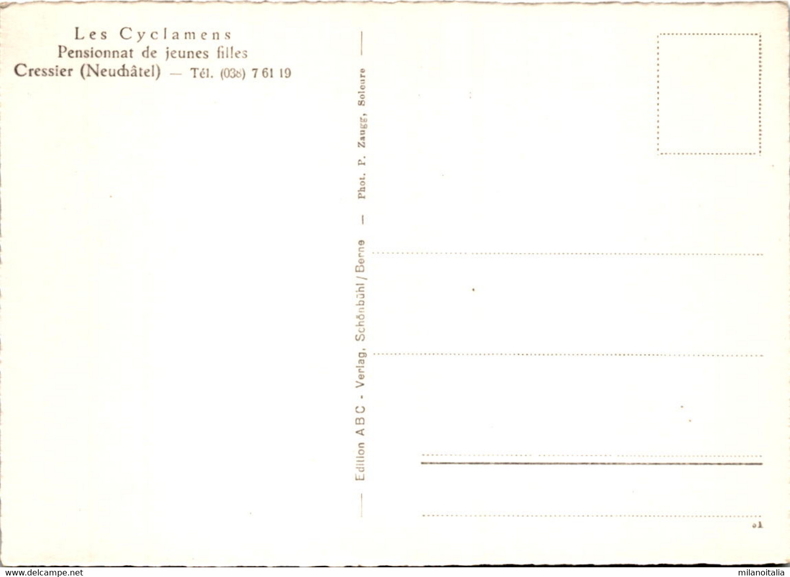 Cressier/Ntel. - Vue Aerienne (15187) - Cressier