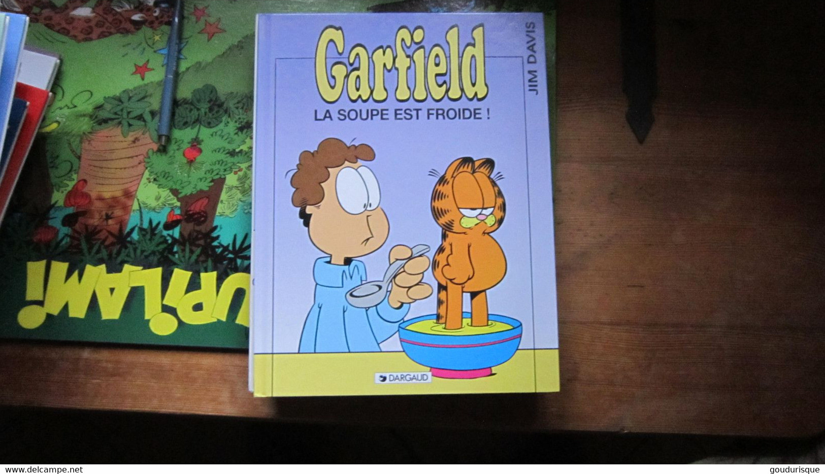 GARFIELD T21 GARFIELD LA SOUPE ET FROIDE !   JIM DAVIS - Garfield