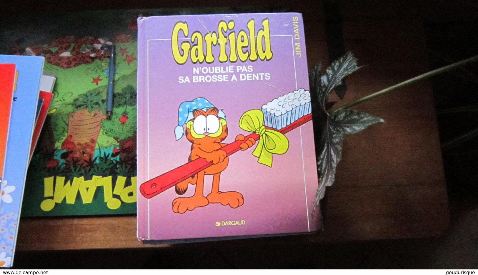 GARFIELD T22 GARFIELD N'OUBLIE PAS SA BROSSE A DENTS !   JIM DAVIS - Garfield