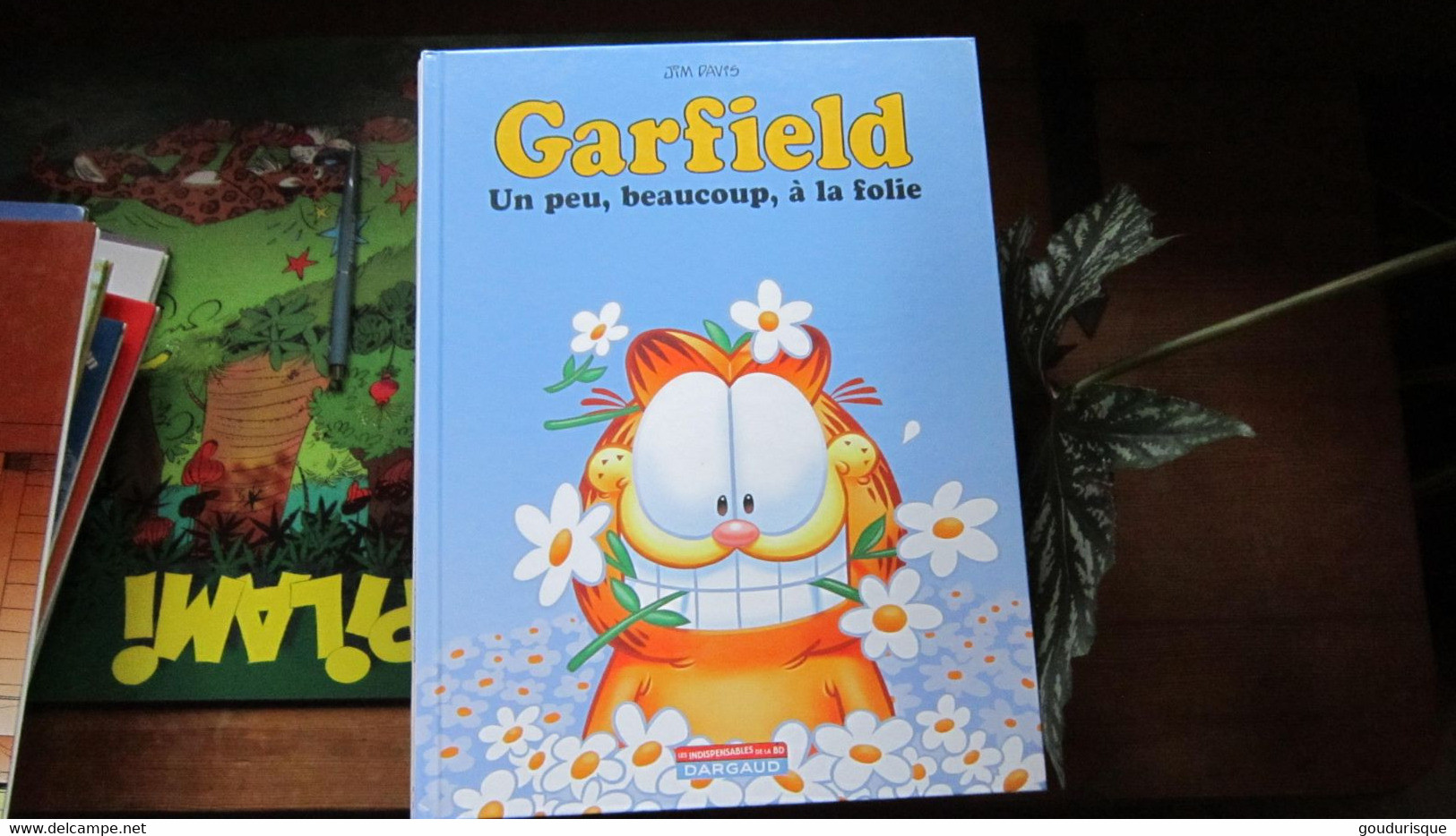 GARFIELD T47 GARFIELD UN PEU BEAUCOUP A LA FOLIE !   JIM DAVIS - Garfield