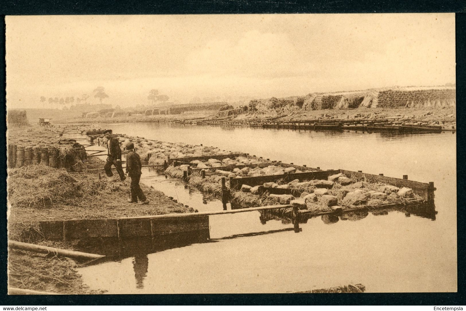 CPA - Carte Postale - Belgique - Ballons De Lin à La Lys (CP22262) - Cultures