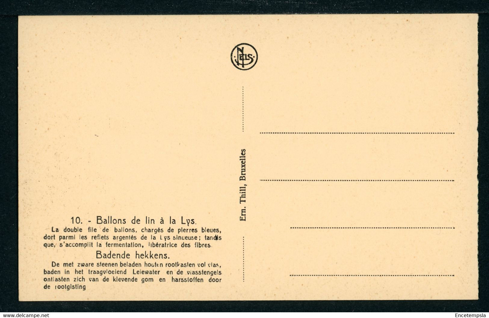 CPA - Carte Postale - Belgique - Ballons De Lin à La Lys (CP22262) - Cultures