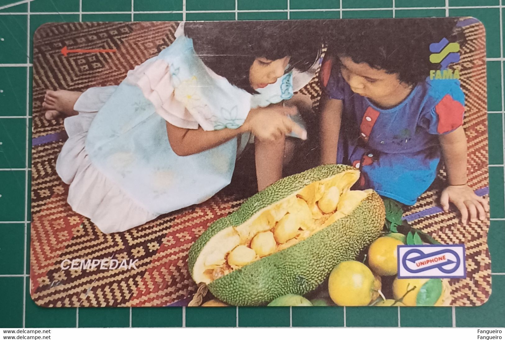 MALAYSIA USED PHONECARD FRUIT - Malaysia