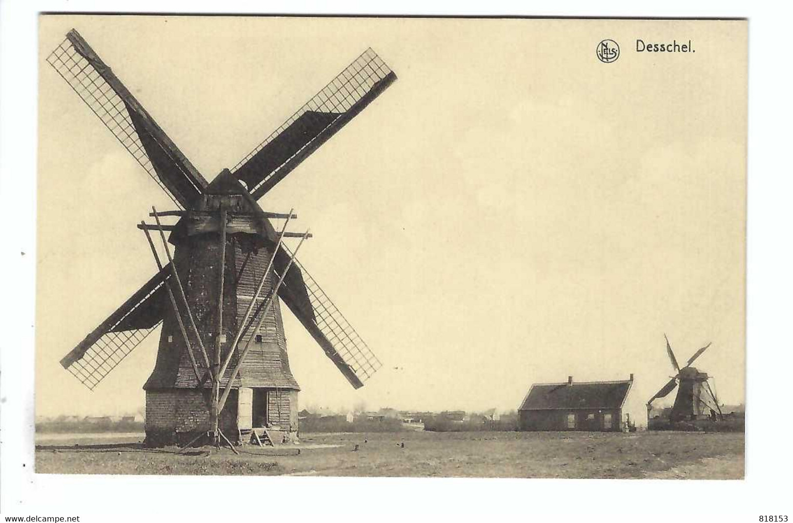 Dessel  Desschel   De Molen - Dessel