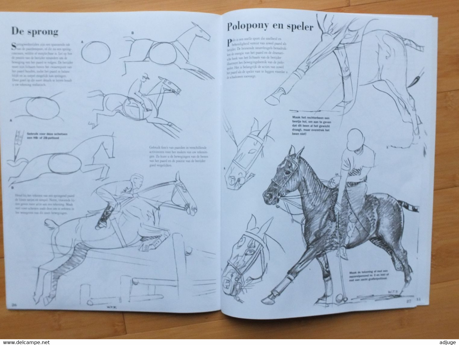 WALTER FOSTER _ PAARDEN TEKENEN - Ed. Librero- ISBN 90.5764.306.5 _ TOP ** - School