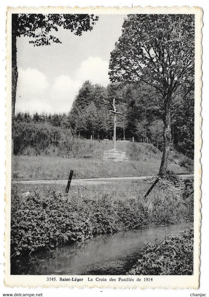 Cpsm: BELGIQUE - LUXEMBOURG - SAINT LEGER - La Croix Des Fusillés De 1914  N° 3345  Ed. Arduenna - Saint-Léger