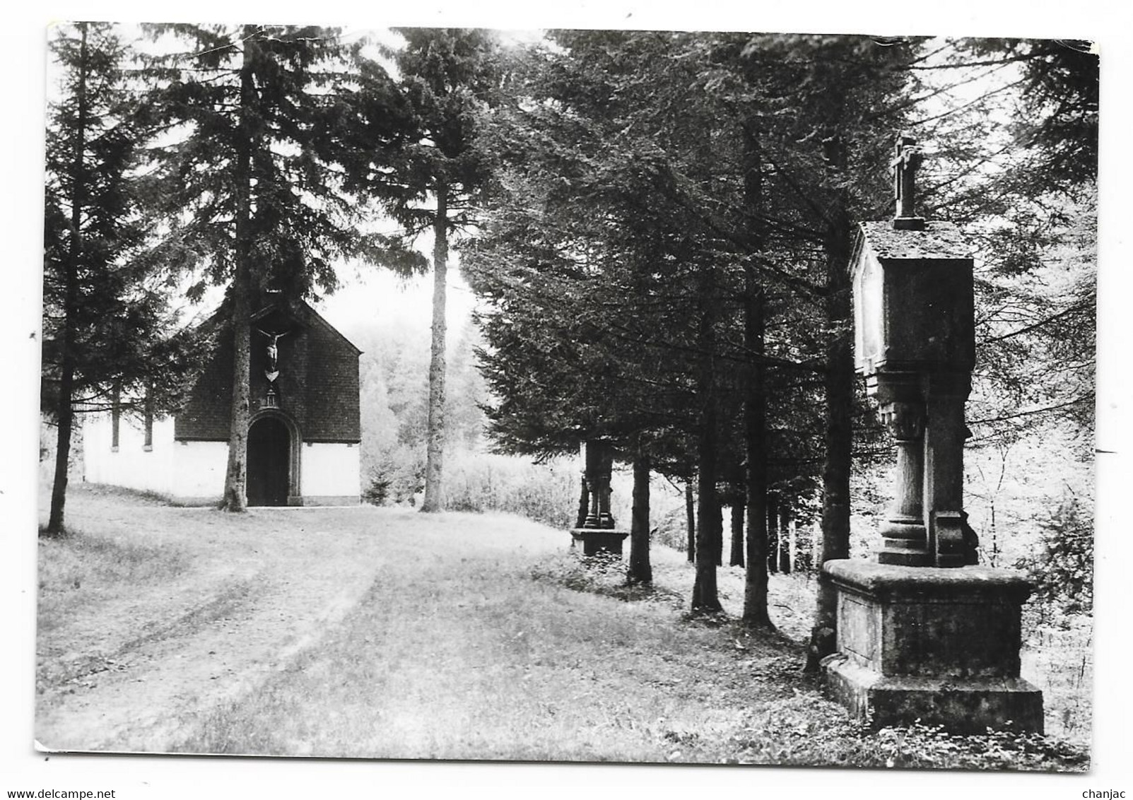 Cpsm: BELGIQUE - LUXEMBOURG -Vallée Du Ton - SAINT LEGER - Dernières Stations Du Chemin De Croix  N° 4621  Ed. Arduenna - Saint-Léger